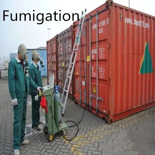 Fumigation Service And Certificate